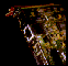 Card.gif (7038 bytes)